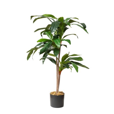 Forever Leaf 4 ft. Artificial Dracaena Plant FL02106